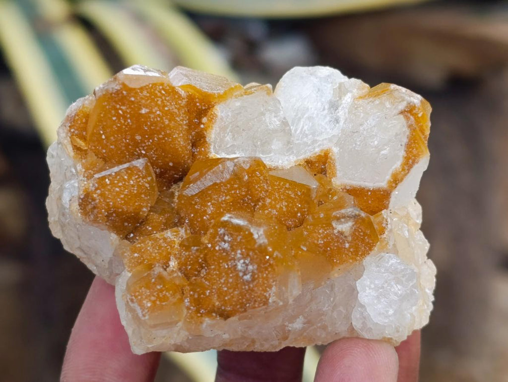Natural Limonite Quartz Clusters x 35 From Solwezi, Zambia