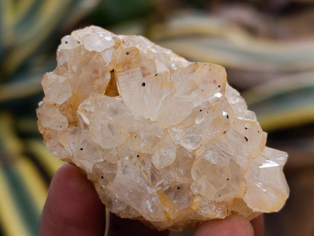 Natural Limonite Quartz Clusters x 35 From Solwezi, Zambia