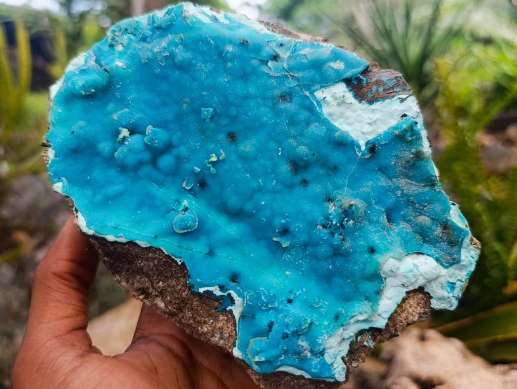 Natural Large Hemimorphite With Chrysocolla Specimen x 1 From Lupoto Mine, Congo