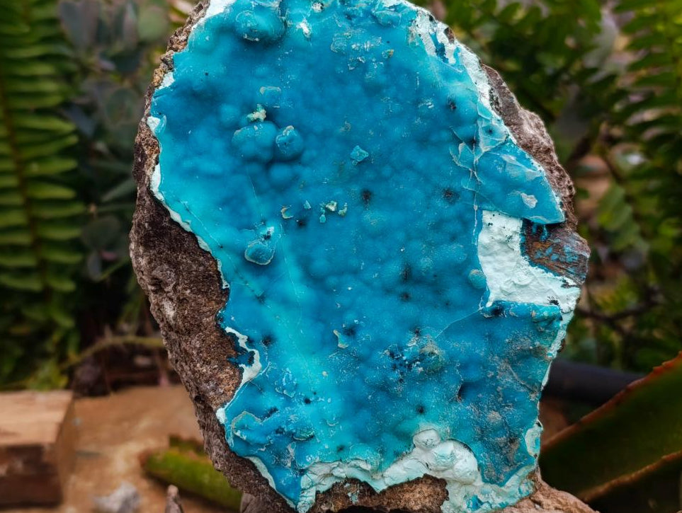 Natural Large Hemimorphite With Chrysocolla Specimen x 1 From Lupoto Mine, Congo