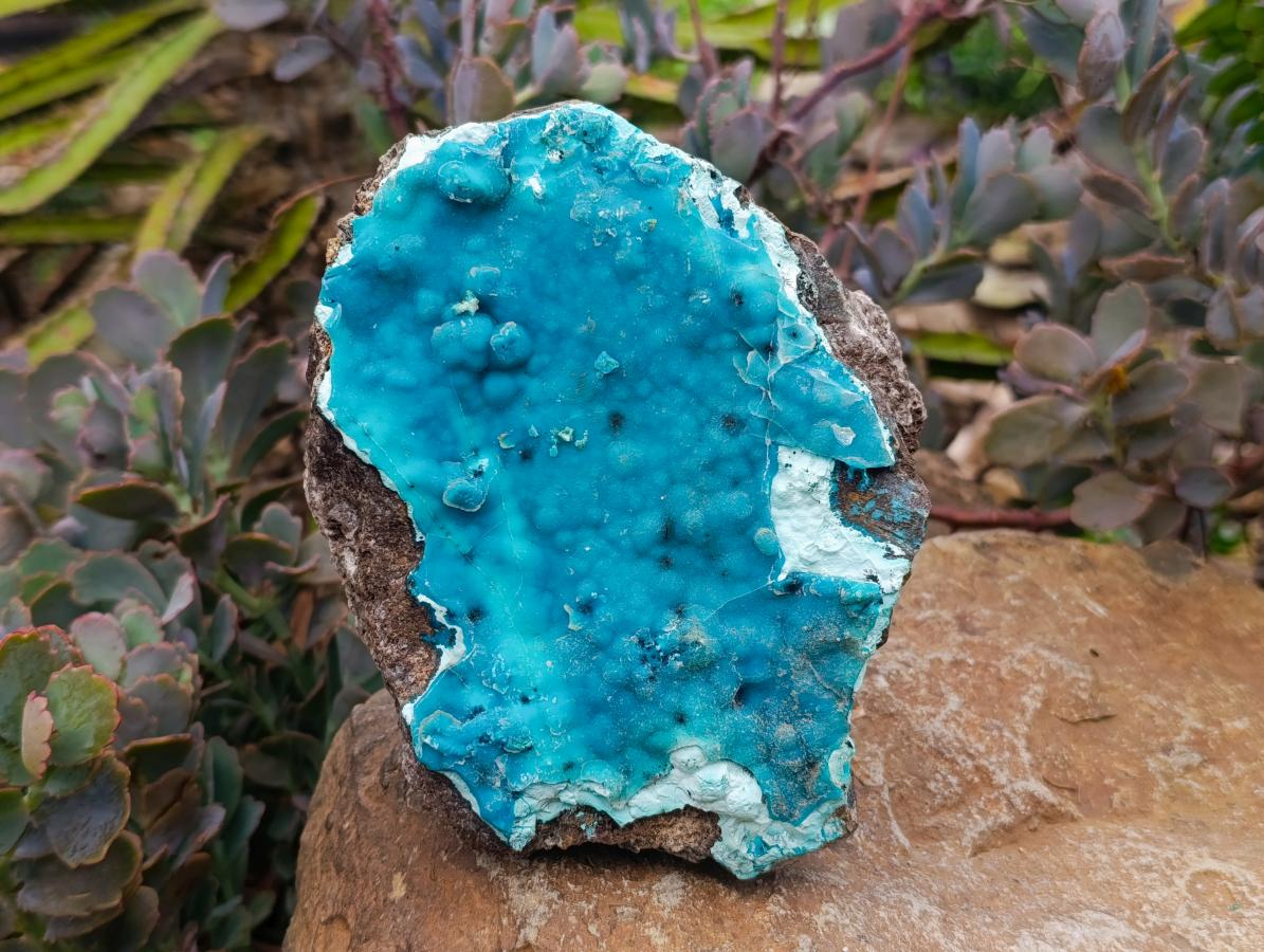 Natural Large Hemimorphite With Chrysocolla Specimen x 1 From Lupoto Mine, Congo