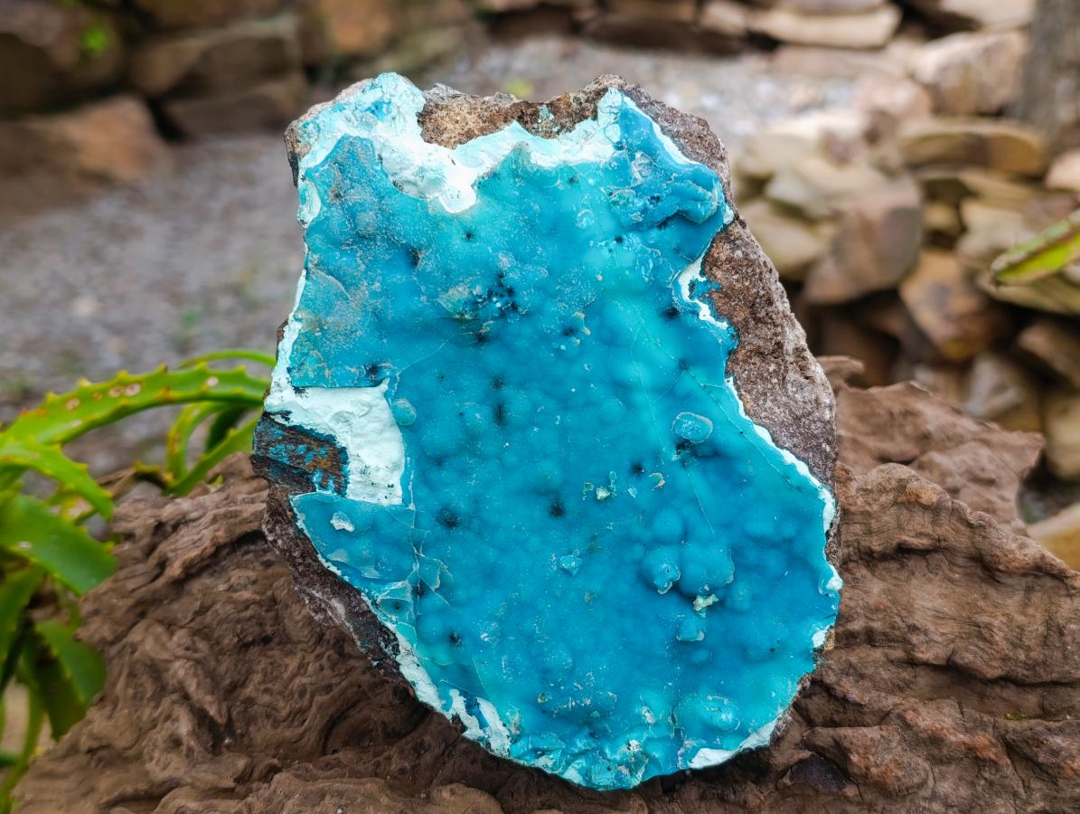 Natural Large Hemimorphite With Chrysocolla Specimen x 1 From Lupoto Mine, Congo