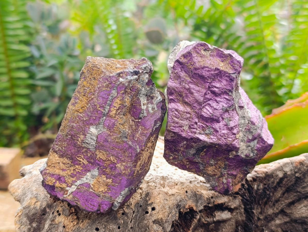 Natural Metallic Cobbed Purpurite Specimens x 6 From Erongo, Namibia