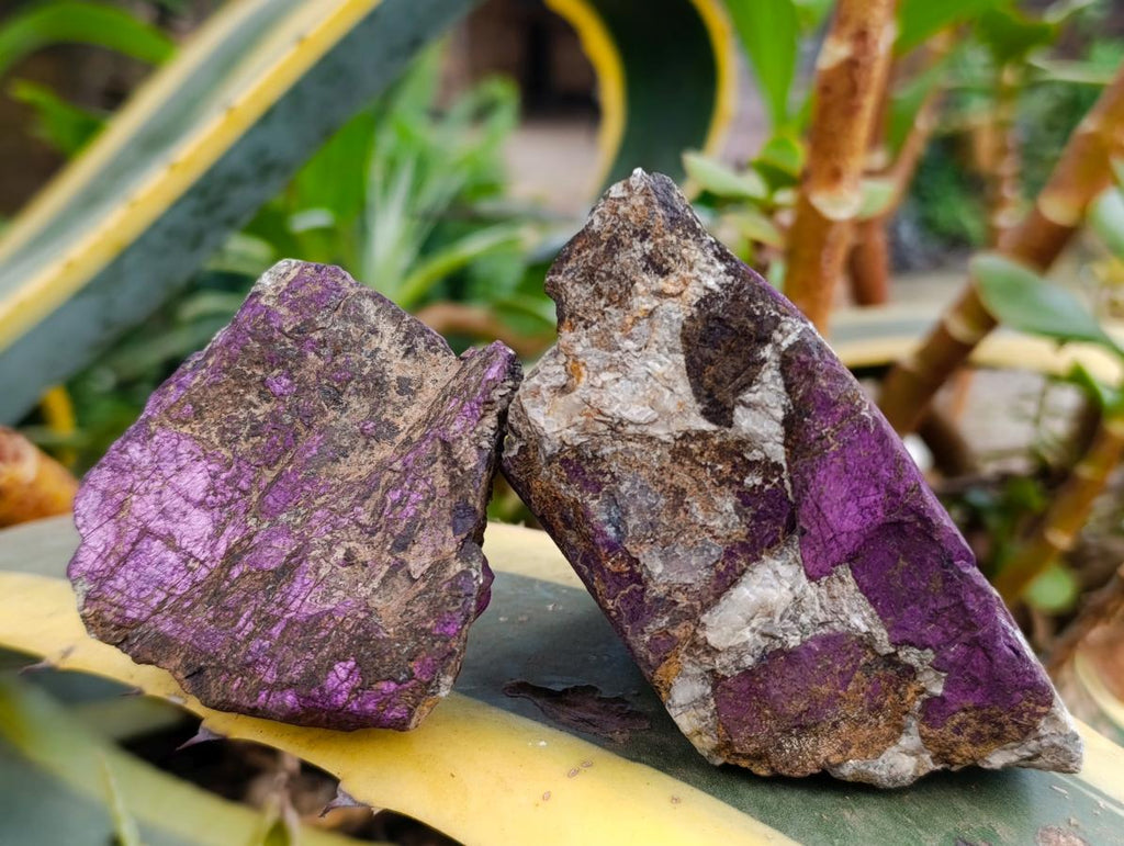Natural Metallic Cobbed Purpurite Specimens x 6 From Erongo, Namibia