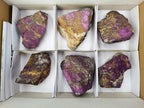 Natural Metallic Cobbed Purpurite Specimens x 6 From Erongo, Namibia