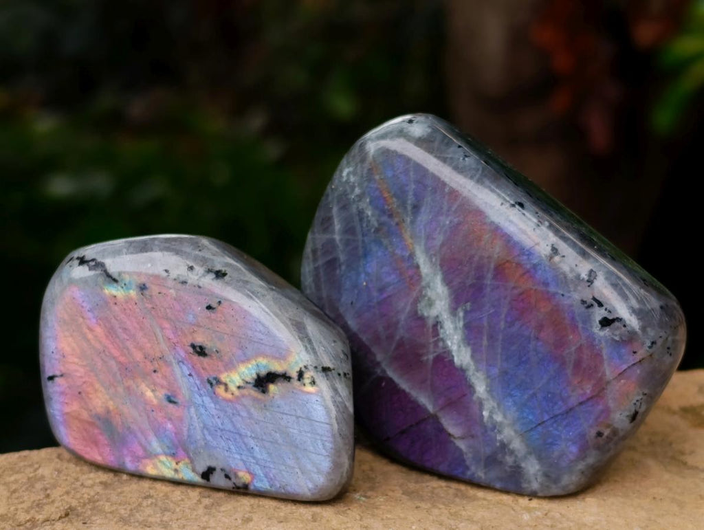 Polished Rare Purple Sunset Flash Labradorite Standing Free Forms x 7 From Madagascar