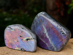 Polished Rare Purple Sunset Flash Labradorite Standing Free Forms x 7 From Madagascar