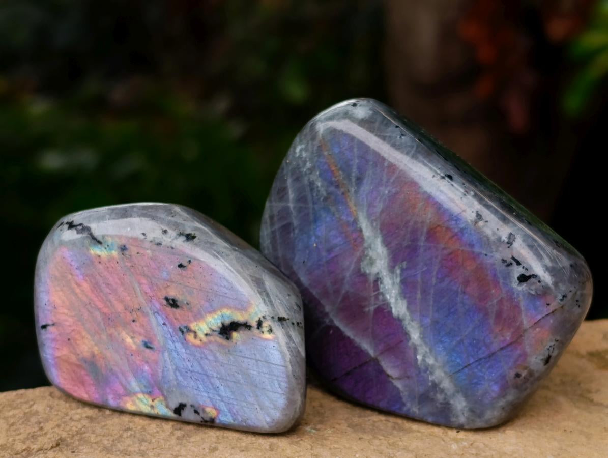 Polished Rare Purple Sunset Flash Labradorite Standing Free Forms x 7 From Madagascar