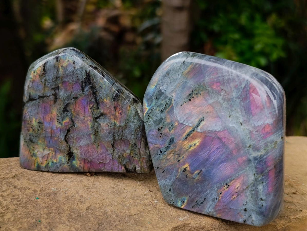 Polished Rare Purple Sunset Flash Labradorite Standing Free Forms x 7 From Madagascar