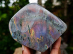 Polished Rare Purple Sunset Flash Labradorite Standing Free Forms x 7 From Madagascar