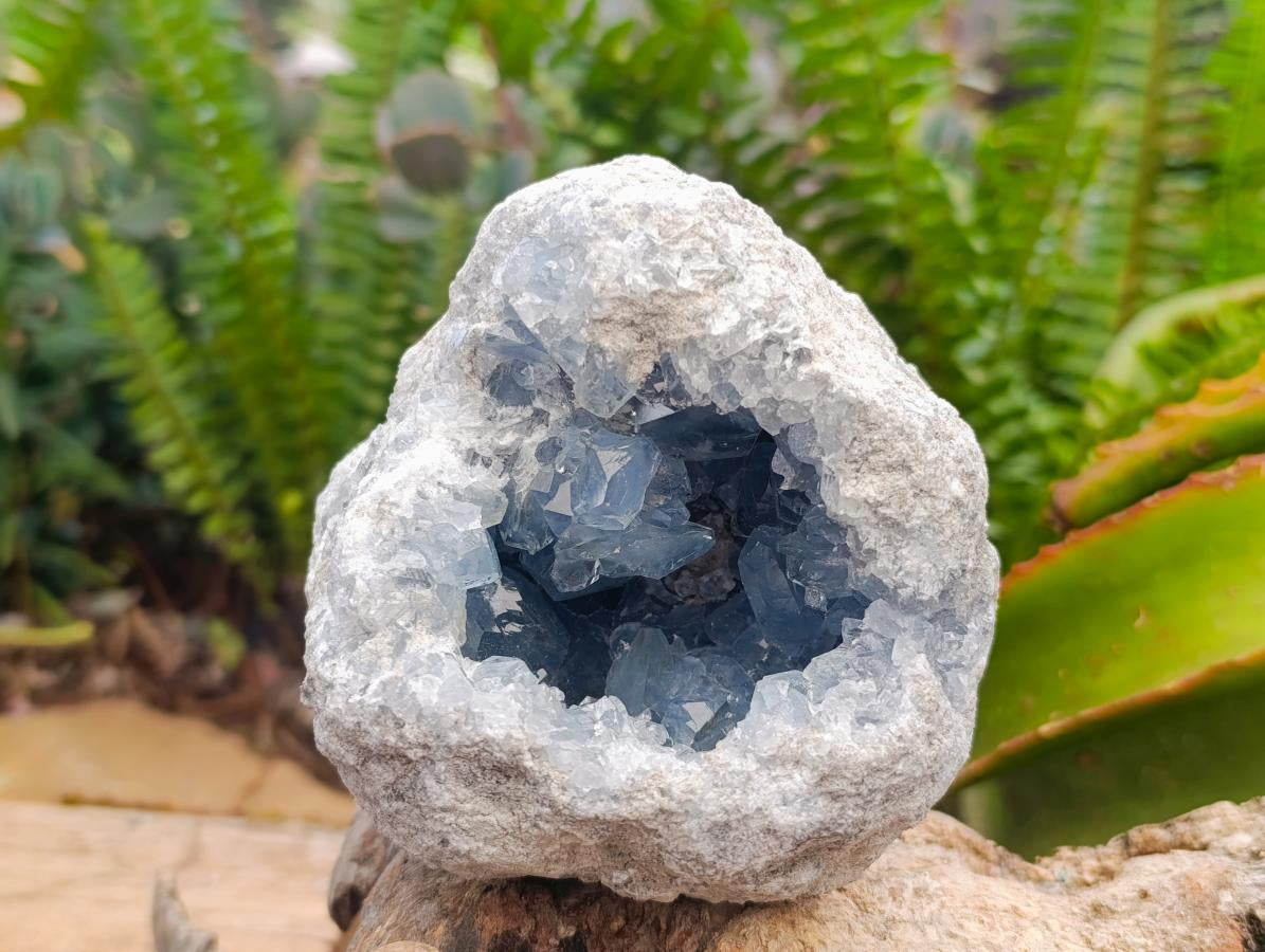 Natural Blue Celestite Geode and Cluster Specimens x 2 From Sakoany, Madagascar