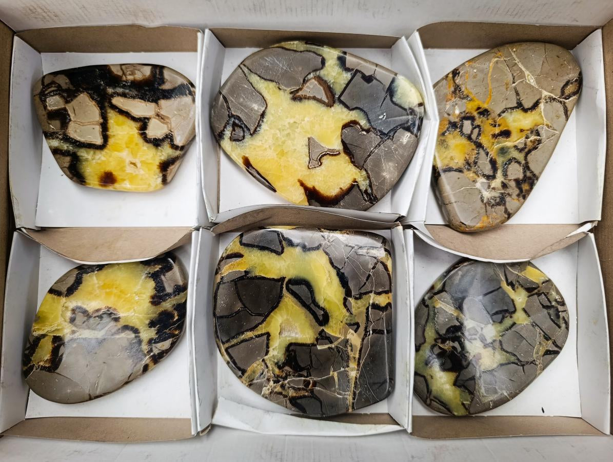 Polished Septerye Slices x 6 From Mahajanga, Madagascar