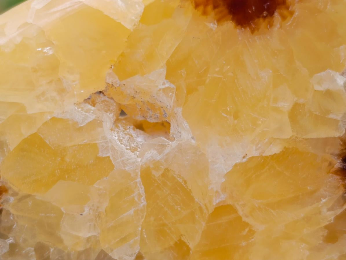 Polished Septerye Slices x 6 From Mahajanga, Madagascar