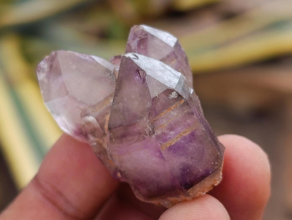 Natural Small Window Smokey Amethyst Crystals x 35 From Ambatondrazaka, Madagascar - Toprock Gemstones and Minerals 