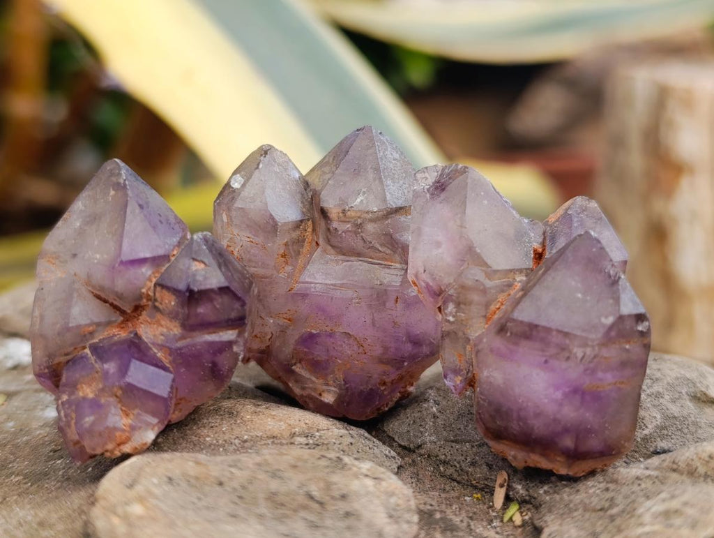 Natural Small Window Smokey Amethyst Crystals x 35 From Ambatondrazaka, Madagascar - Toprock Gemstones and Minerals 