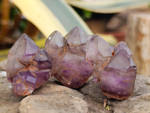 Natural Small Window Smokey Amethyst Crystals x 35 From Ambatondrazaka, Madagascar