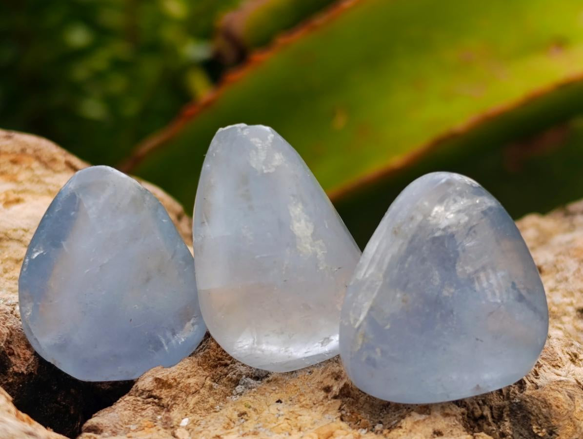 Polished Mini Blue Celestite Free Form Crystals x 70 From Sakoany, Madagascar