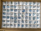 Polished Mini Blue Celestite Free Form Crystals x 70 From Sakoany, Madagascar
