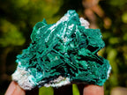 Natural Rare Malachite Pseudomorph Specimens x 6 From Kolwezi, Congo