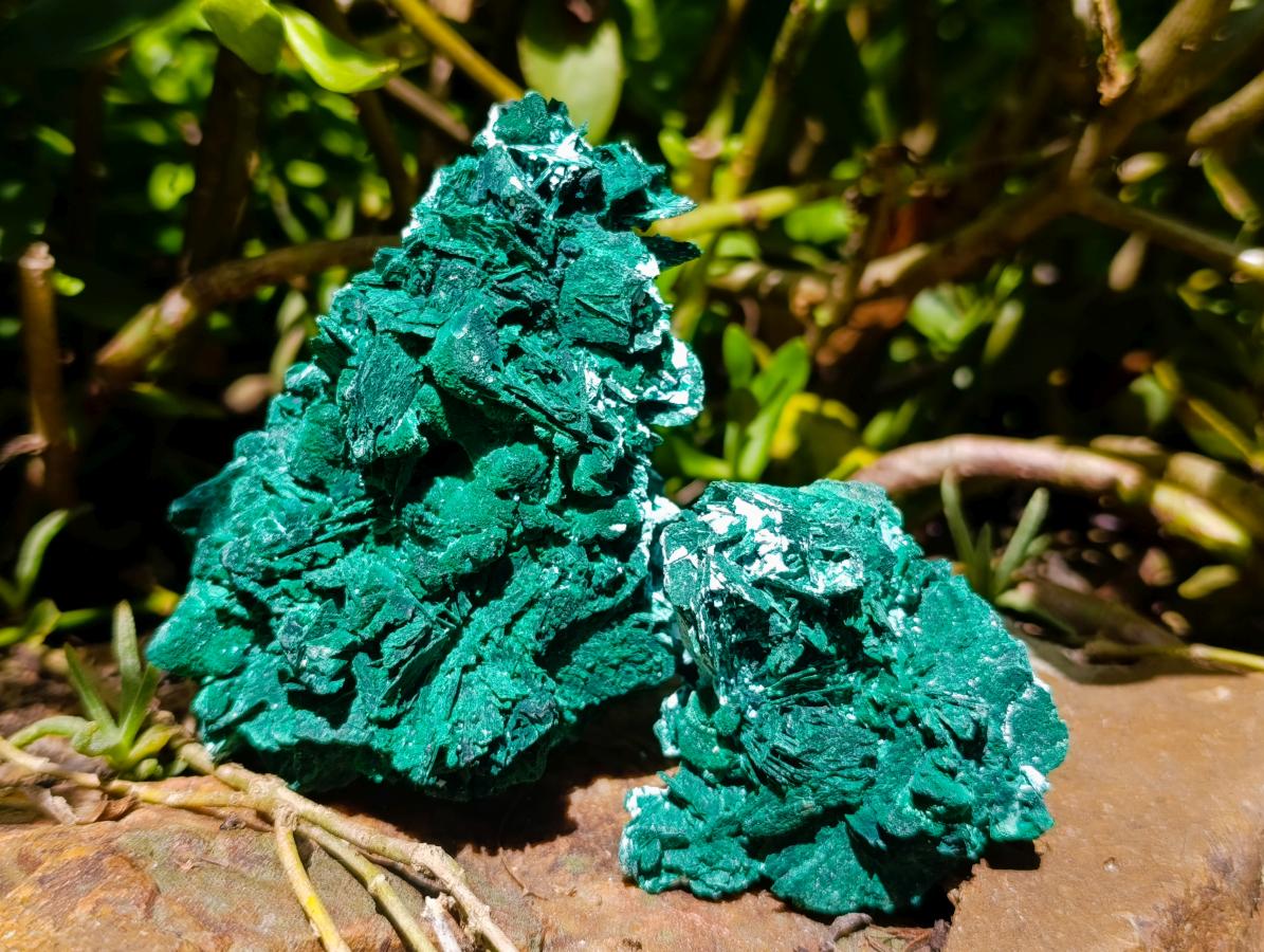 Natural Rare Malachite Pseudomorph Specimens x 6 From Kolwezi, Congo