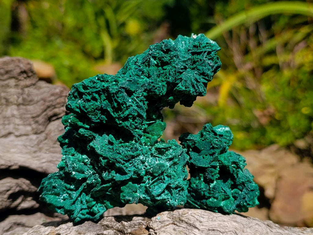 Natural Rare Malachite Pseudomorph Specimens x 6 From Kolwezi, Congo