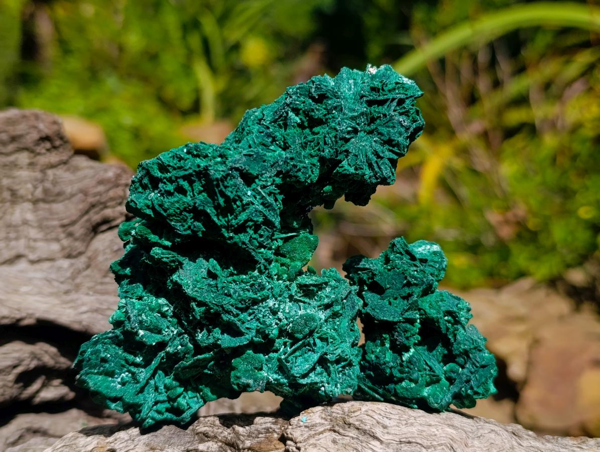 Natural Rare Malachite Pseudomorph Specimens x 6 From Kolwezi, Congo