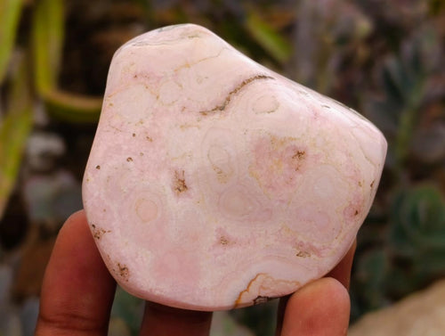 Polished Cobaltion Calcite in Dolomite Free Forms x 12 From Kakanda, Congo