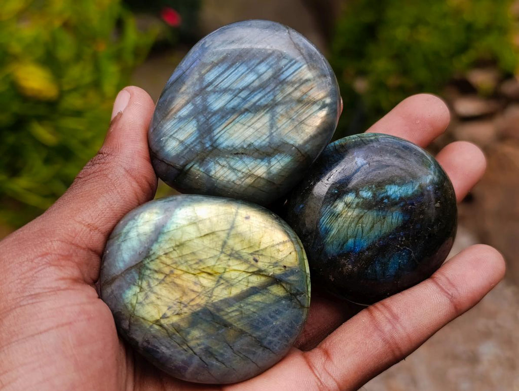 Polished Labradorite Palm Stones x 12 From Madagascar