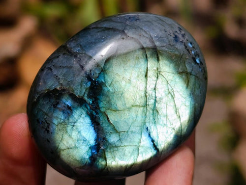 Polished Labradorite Palm Stones x 12 From Madagascar