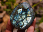 Polished Labradorite Palm Stones x 12 From Madagascar