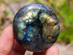 Polished Labradorite Palm Stones x 12 From Madagascar