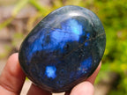 Polished Labradorite Palm Stones x 12 From Madagascar