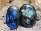 Polished Labradorite Palm Stones x 12 From Madagascar