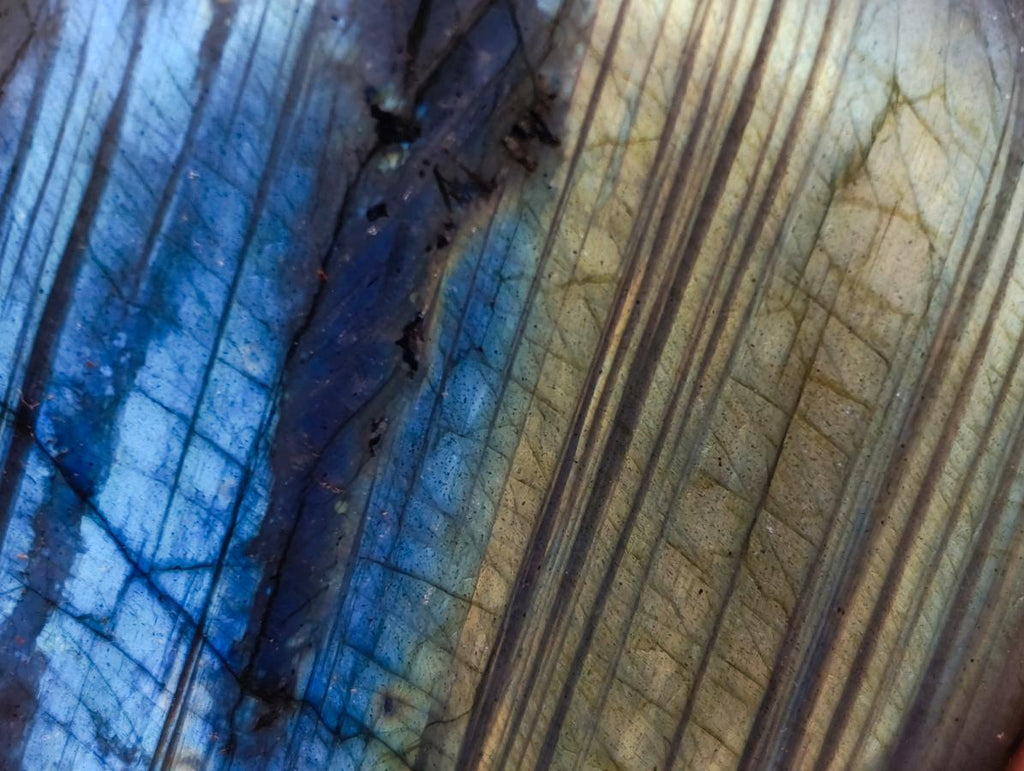 Polished Labradorite Palm Stones x 12 From Madagascar