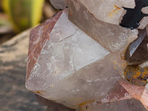 Natural Large Blacknite Quartz Cluster with Red Hematoid x 1 From Madagascar