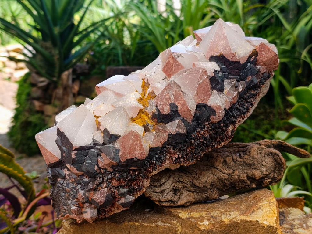 Natural Large Blacknite Quartz Cluster with Red Hematoid x 1 From Madagascar