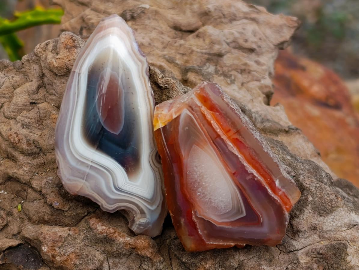 Polished One Side Red Shashe River Agate Nodules x 35 From Shashe River, Zimbabwe