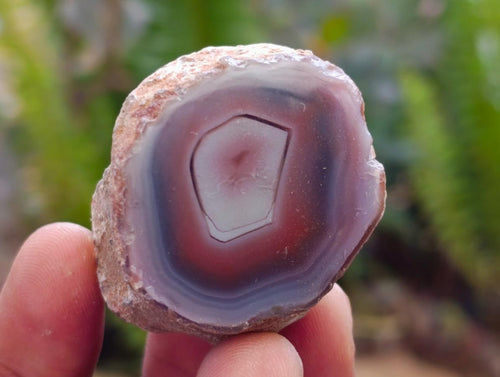 Polished One Side Red Shashe River Agate Nodules x 35 From Shashe River, Zimbabwe