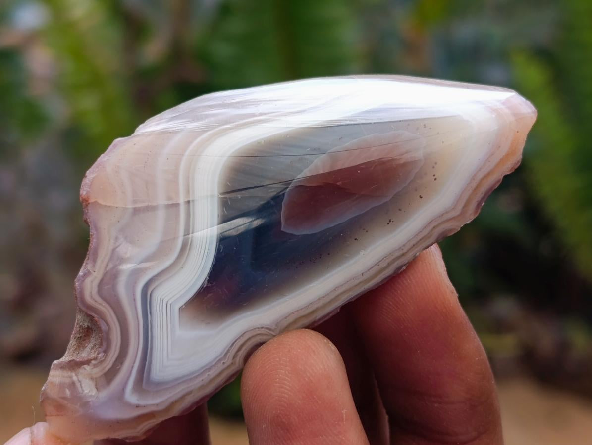 Polished One Side Red Shashe River Agate Nodules x 35 From Shashe River, Zimbabwe