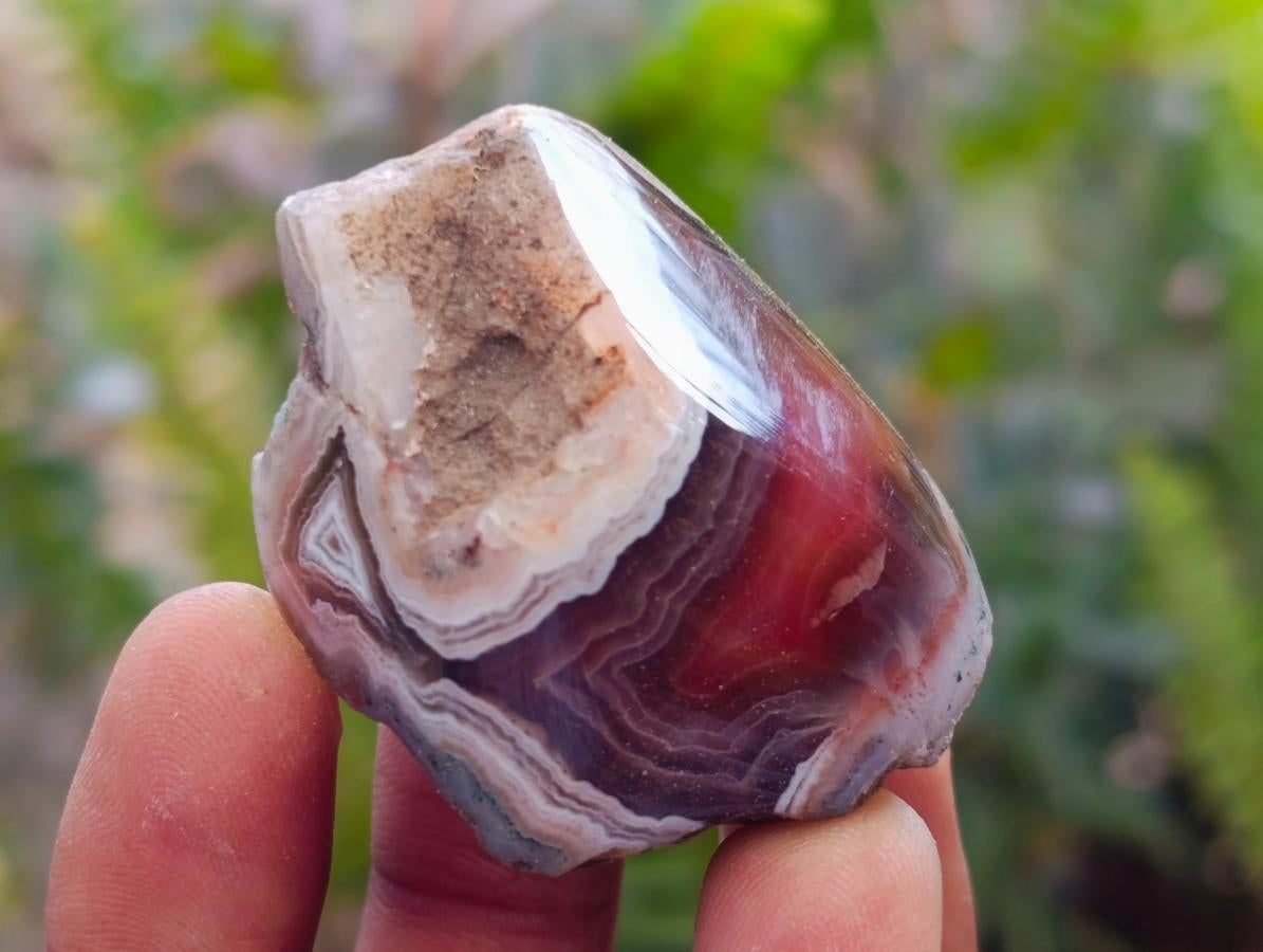 Polished One Side Red Shashe River Agate Nodules x 35 From Shashe River, Zimbabwe