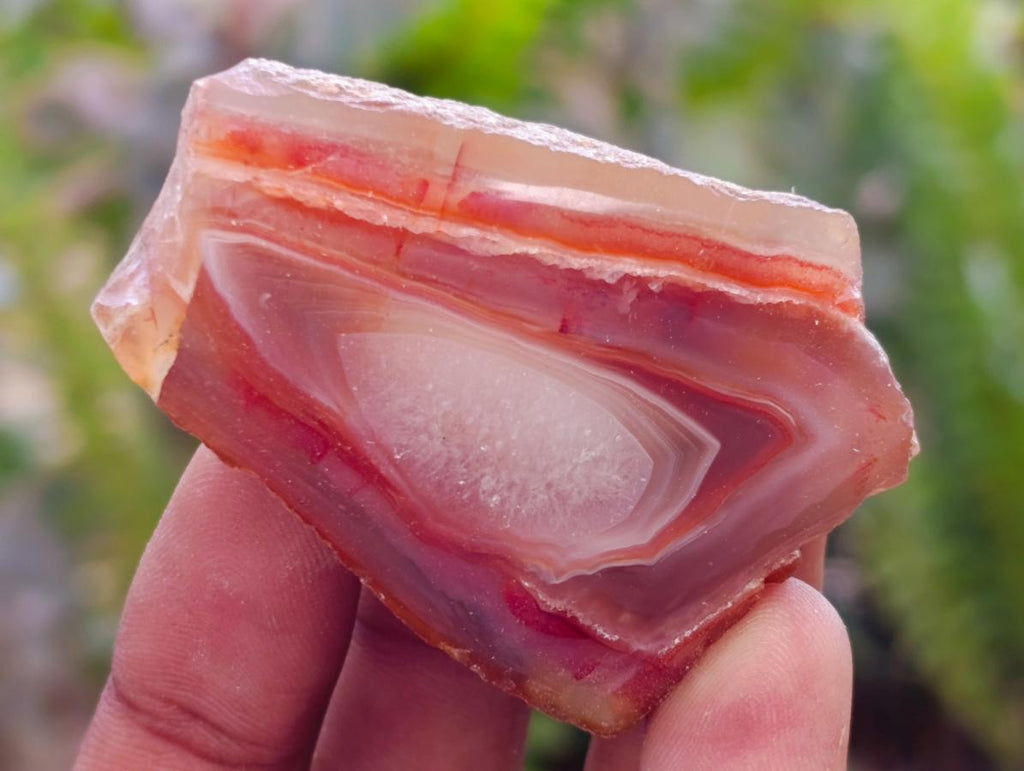 Polished One Side Red Shashe River Agate Nodules x 35 From Shashe River, Zimbabwe