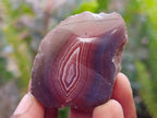 Polished One Side Red Shashe River Agate Nodules x 35 From Shashe River, Zimbabwe