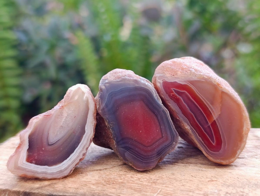 Polished One Side Red Shashe River Agate Nodules x 35 From Shashe River, Zimbabwe