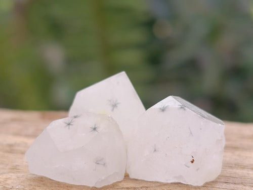 Natural Mini Rare Hollandite Star Quartz Crystals x 210 From Congo