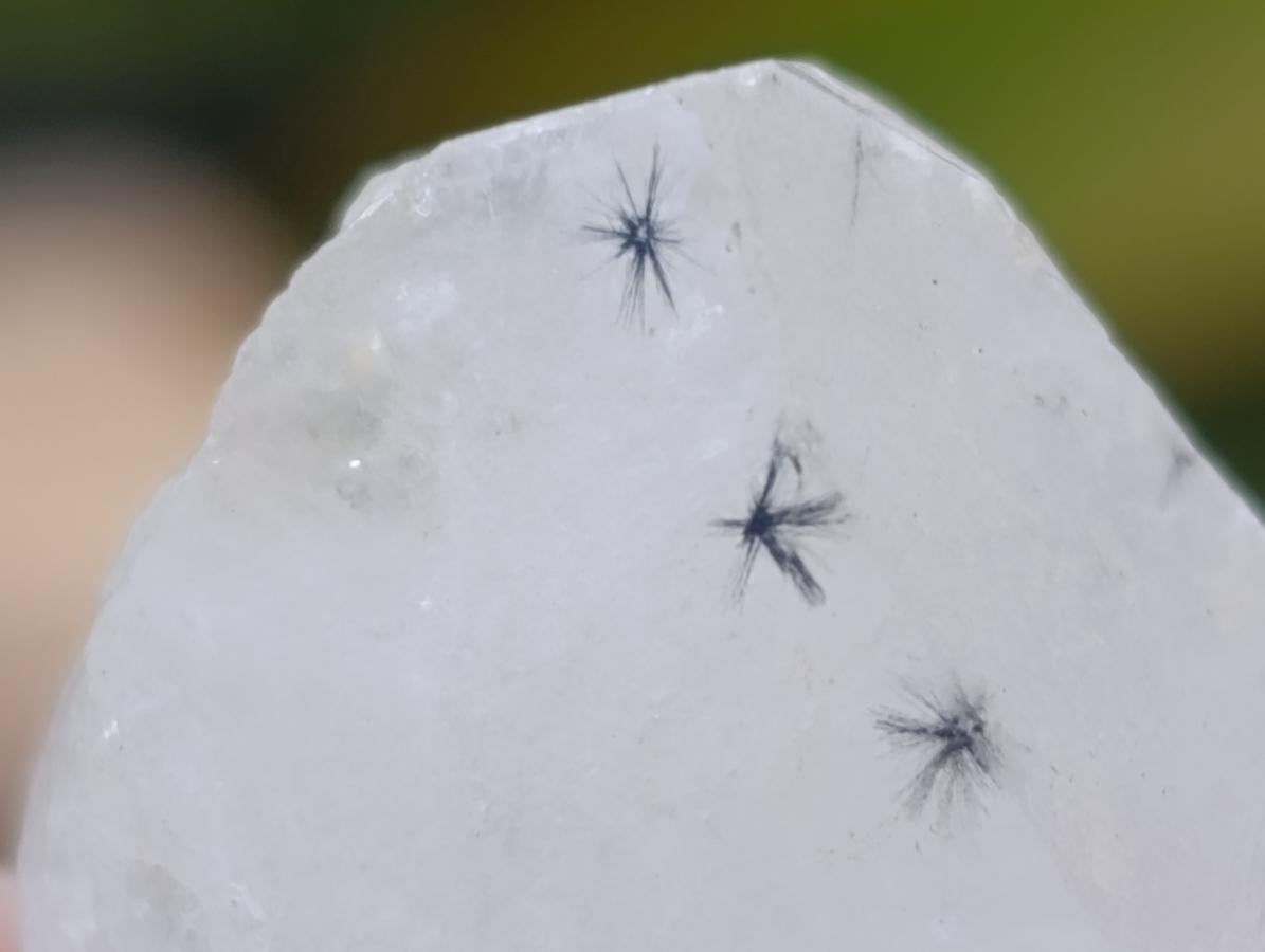 Natural Mini Rare Hollandite Star Quartz Crystals x 210 From Congo