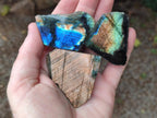 Polished One Side Labradorite Slices x 1,72 Kg Lot From Madagascar