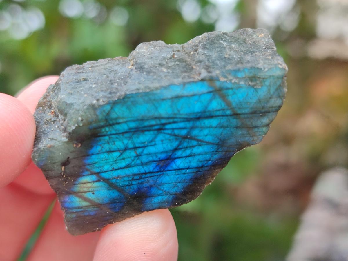 Polished One Side Labradorite Slices x 1,72 Kg Lot From Madagascar