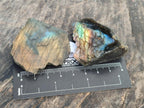 Polished One Side Labradorite Slices x 1,72 Kg Lot From Madagascar