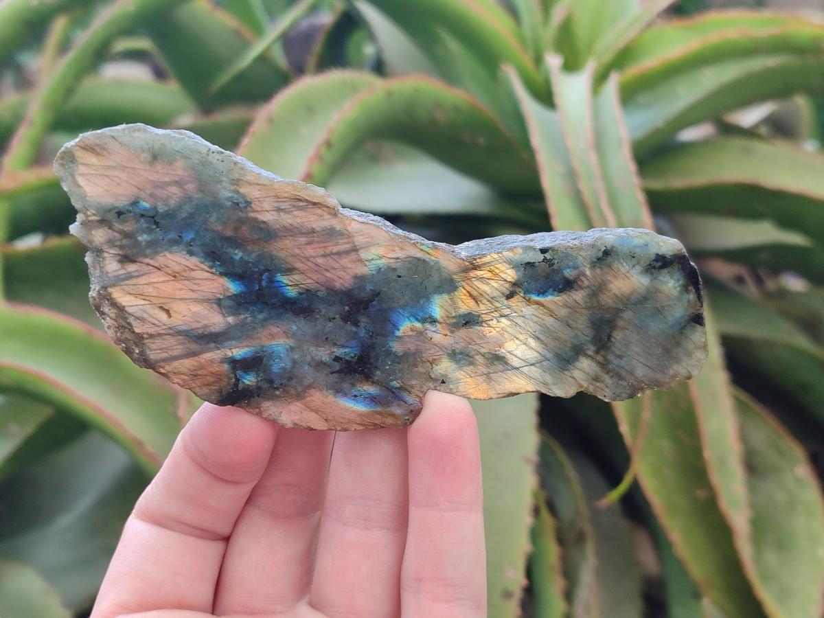 Polished One Side Labradorite Slices x 1,72 Kg Lot From Madagascar