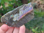Polished One Side Labradorite Slices x 1,72 Kg Lot From Madagascar